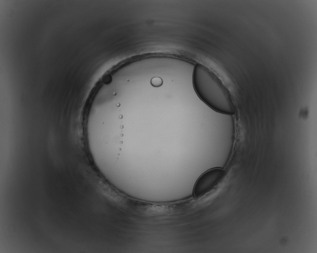 X0000101980883200807180758