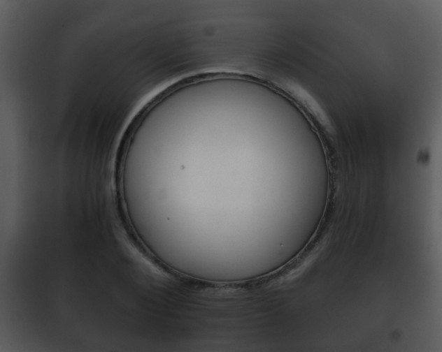 X0000101980884200807180758