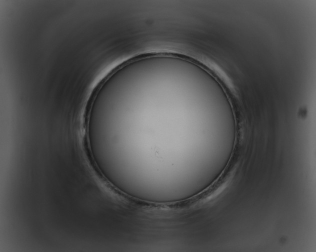 X0000101980885200807180758