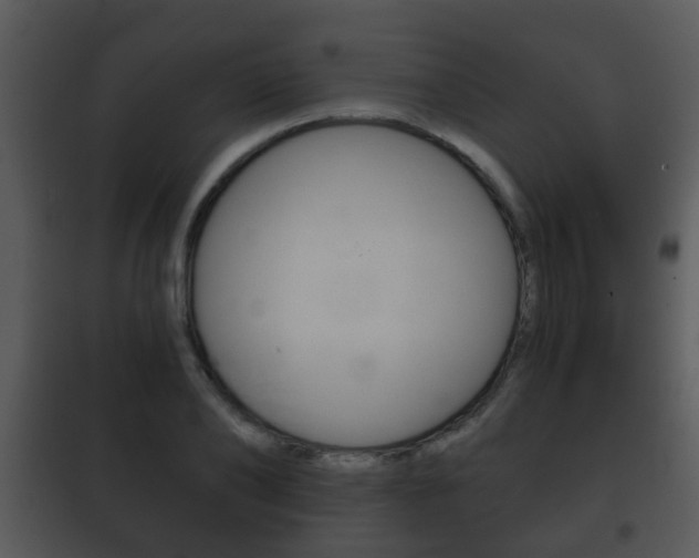 X0000101980886200807180758
