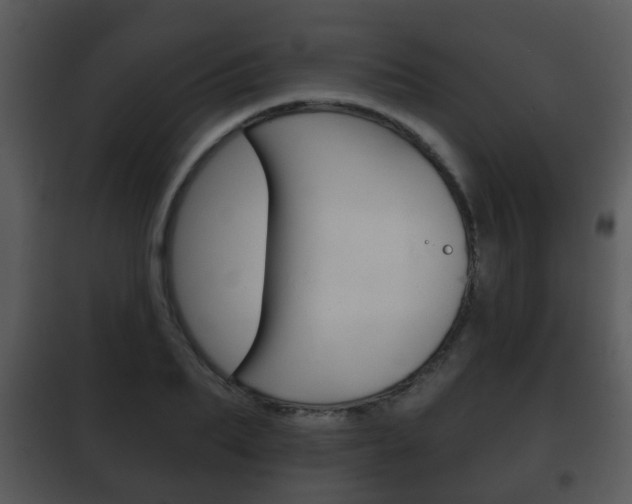 X0000101980887200807180758