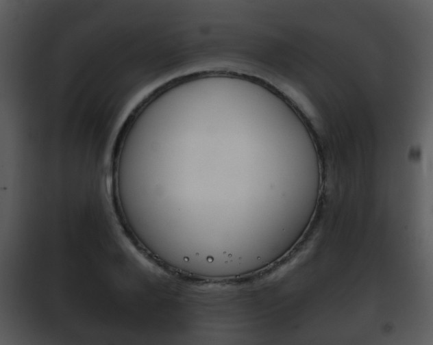 X0000101980888200807180758