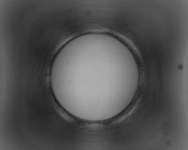 X0000101980889200807180758