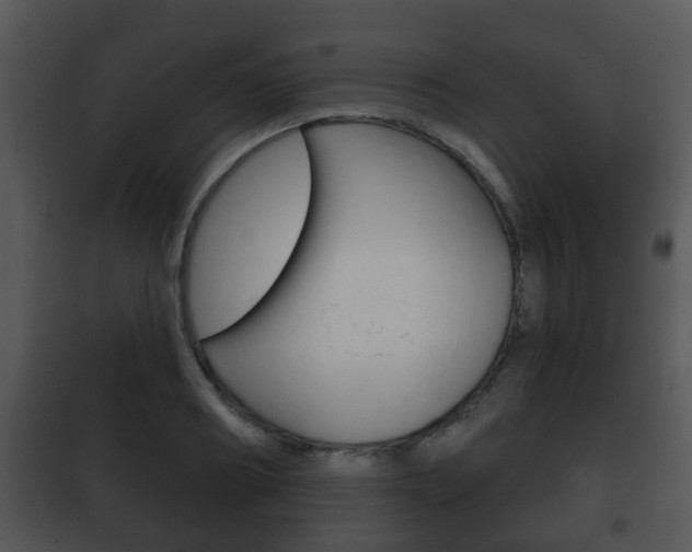 X0000101980890200807180758