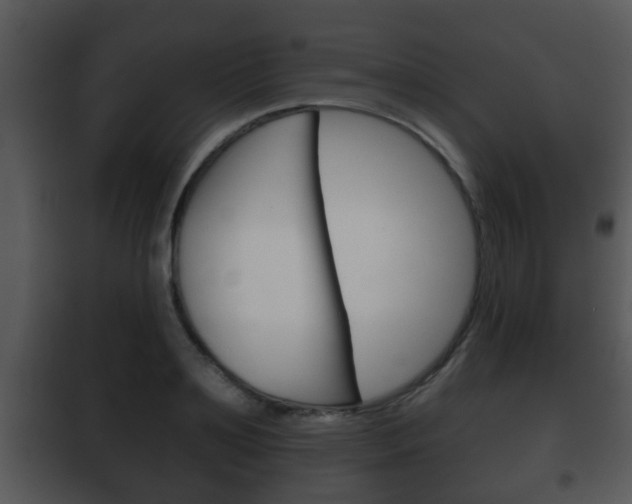 X0000101980891200807180758