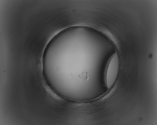 X0000101980892200807180758