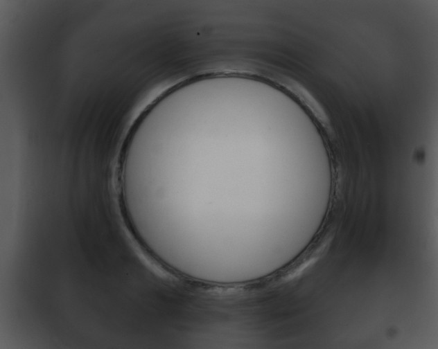 X0000101980893200807180758