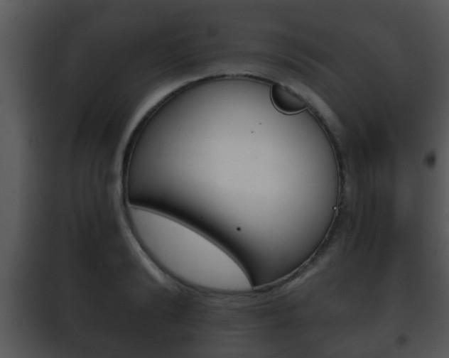 X0000101980894200807180758