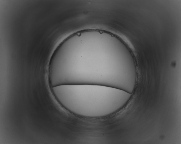 X0000101980895200807180758