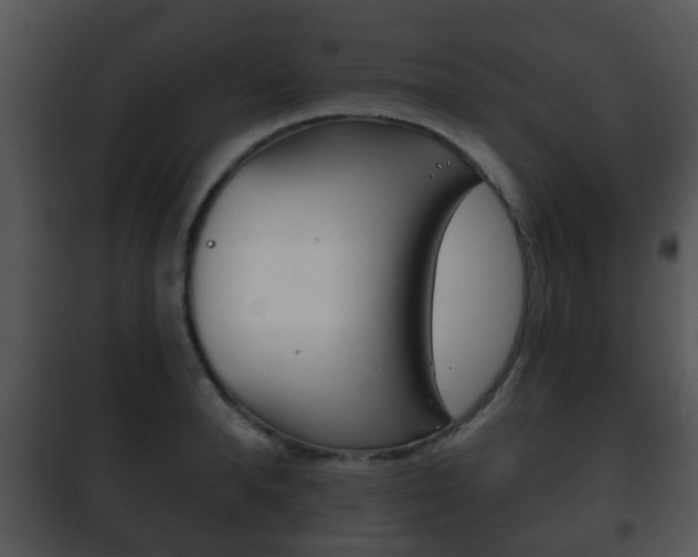 X0000101980896200807180758