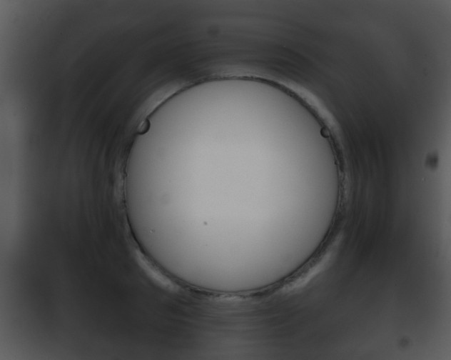 X0000101980897200807180758