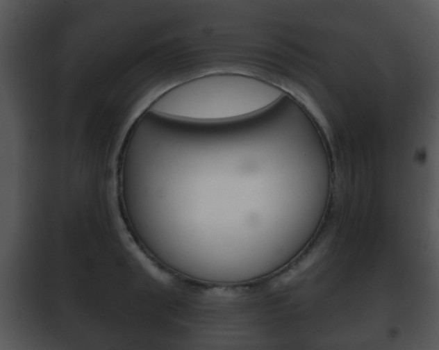 X0000101980898200807180758