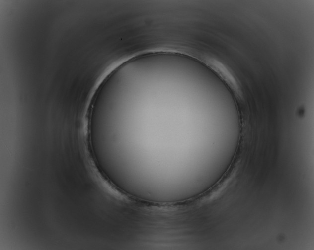 X0000101980900200807180758