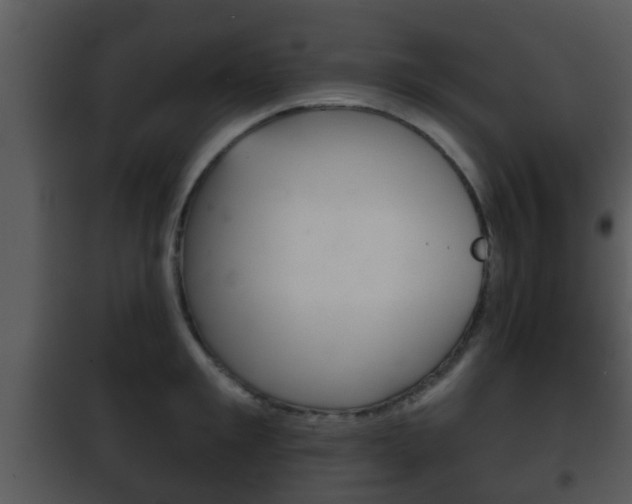X0000101980901200807180758