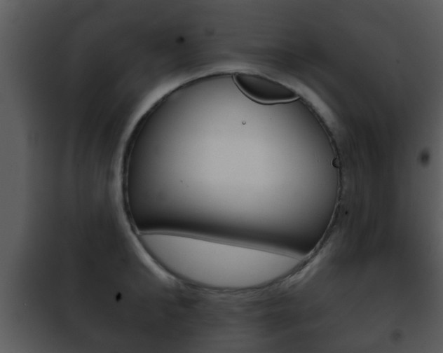 X0000101980902200807180758