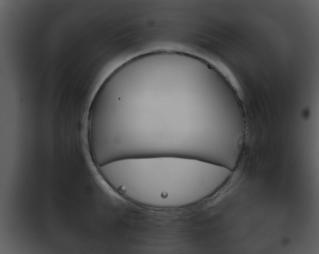 X0000101980903200807180758