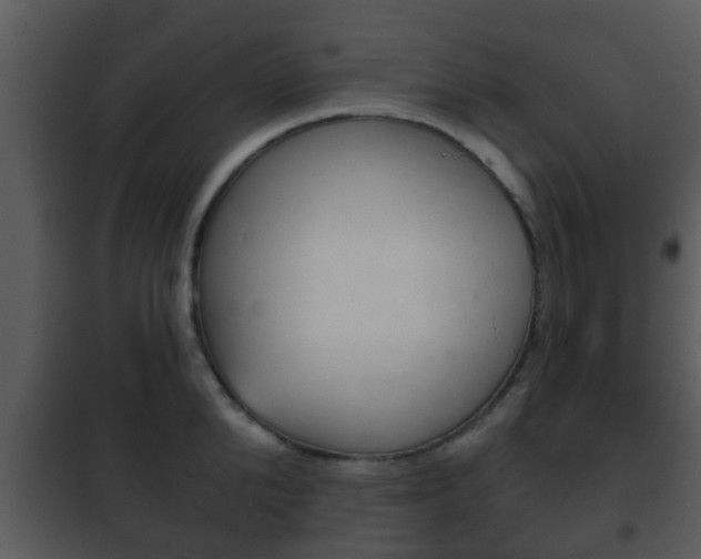 X0000101980904200807180758