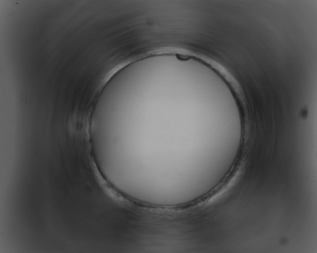 X0000101980905200807180758