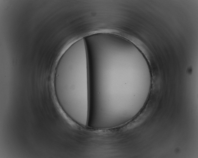 X0000101980906200807180758