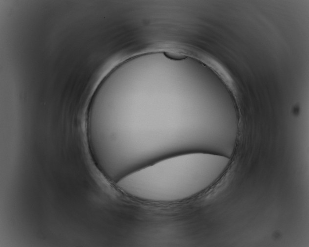 X0000101980907200807180757