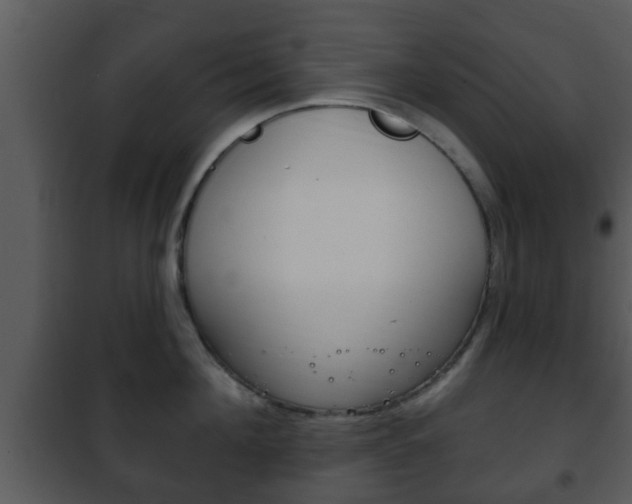 X0000101980908200807180757