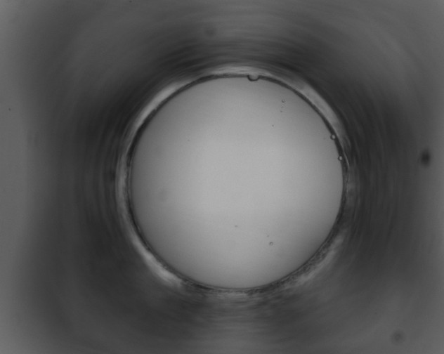 X0000101980909200807180757