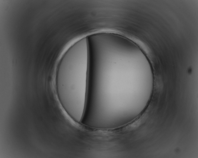 X0000101980910200807180757