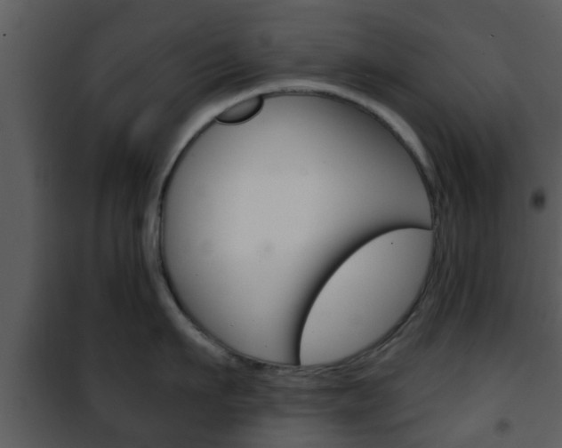 X0000101980911200807180757