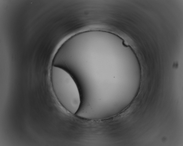 X0000101980912200807180757