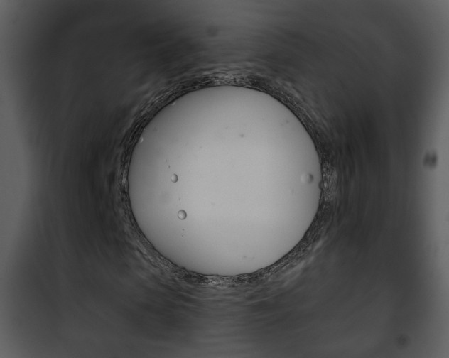 X0000101980913200807180757