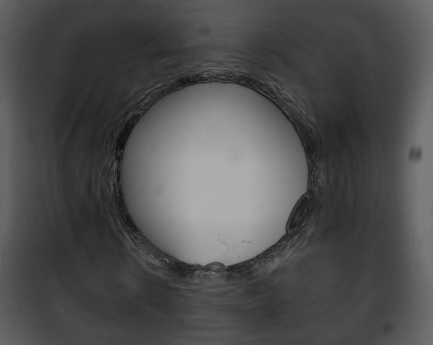 X0000101980914200807180757