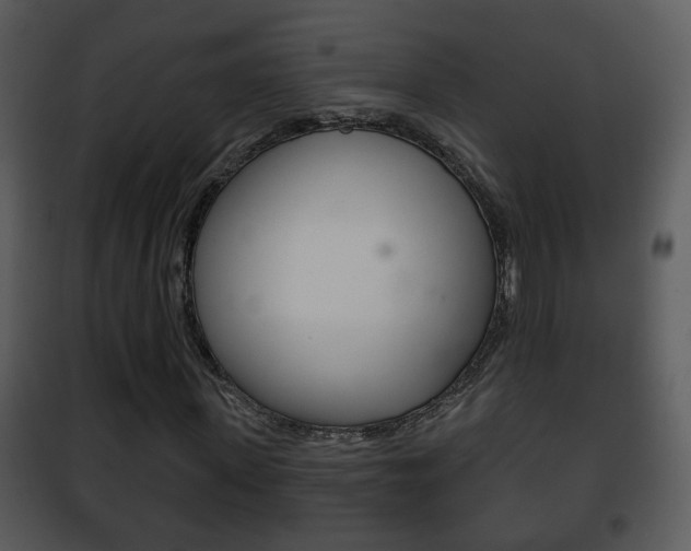 X0000101980915200807180757
