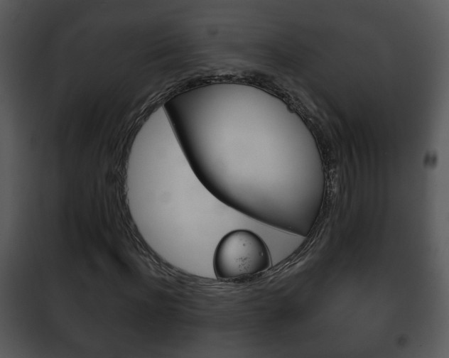 X0000101980916200807180757