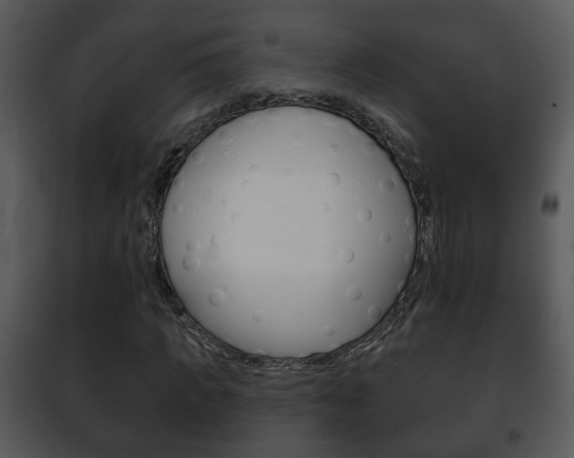 X0000101980917200807180757
