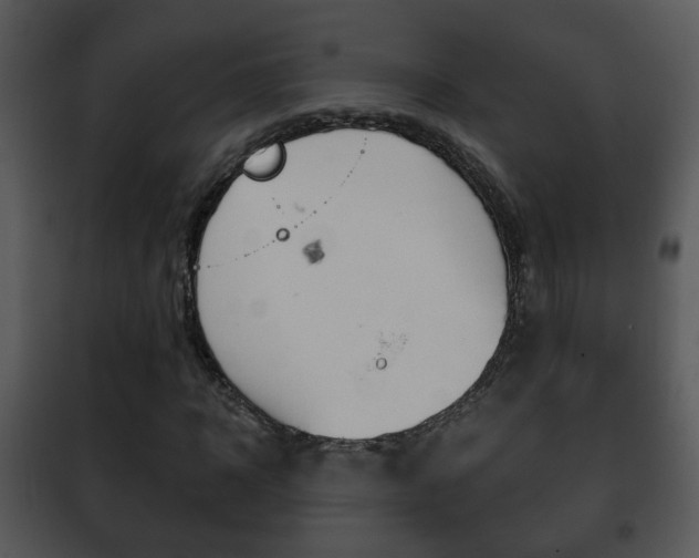 X0000101980918200807180757
