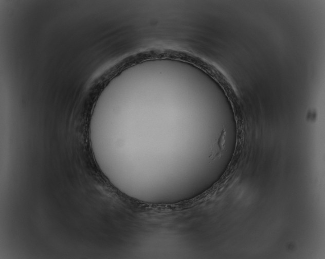 X0000101980919200807180757