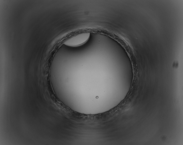 X0000101980920200807180757