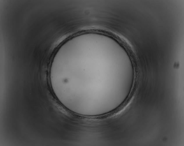 X0000101980921200807180757