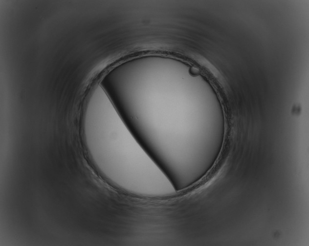X0000101980922200807180757