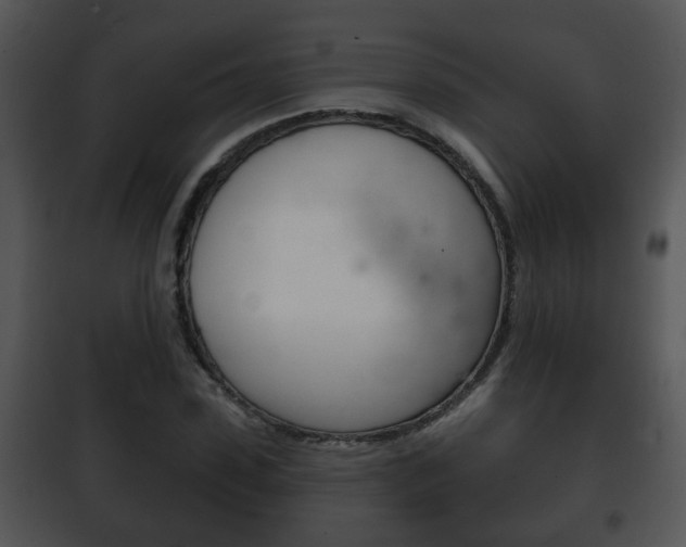 X0000101980923200807180757