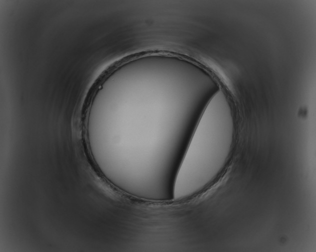 X0000101980924200807180757