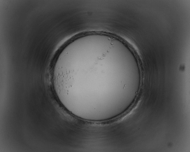 X0000101980925200807180757