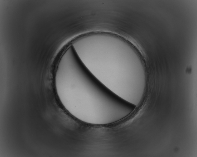 X0000101980926200807180757