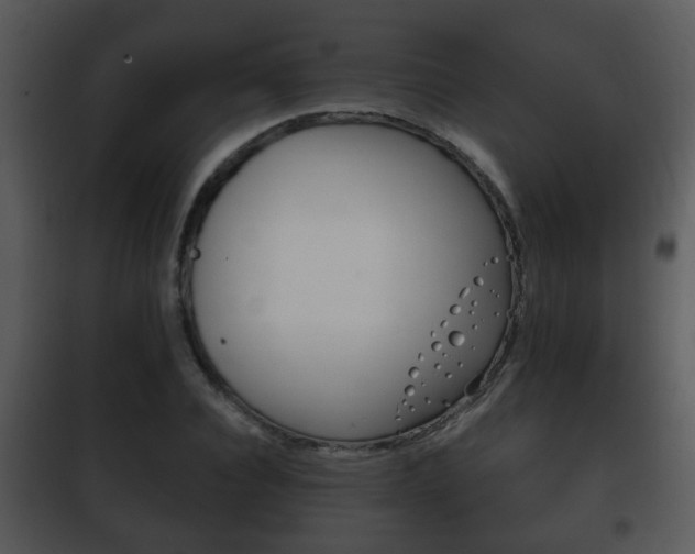 X0000101980928200807180757