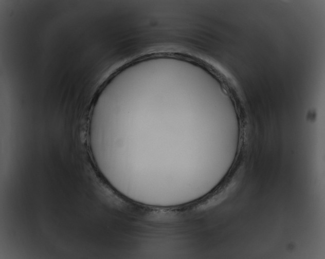 X0000101980929200807180757