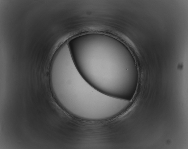 X0000101980930200807180757