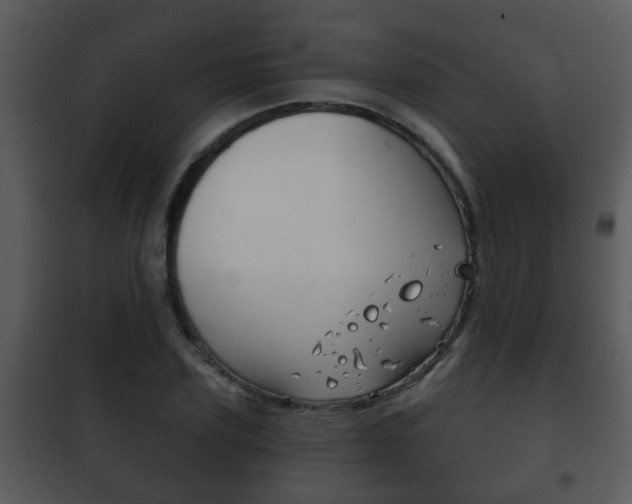 X0000101980931200807180757