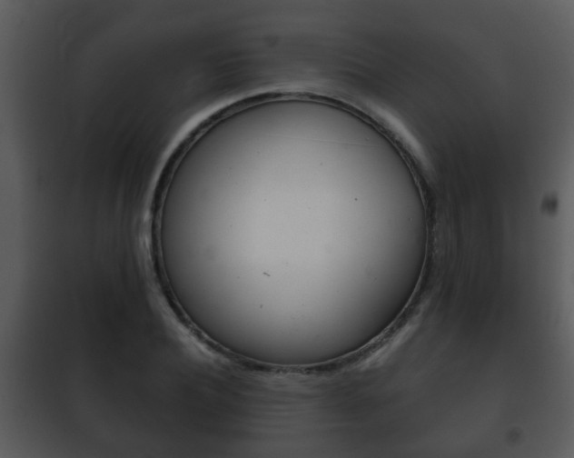 X0000101980932200807180757