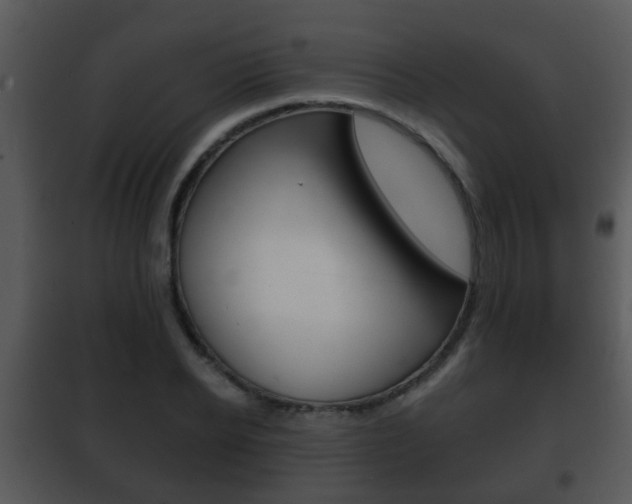 X0000101980934200807180757