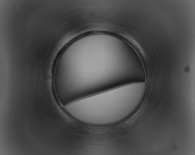 X0000101980935200807180757